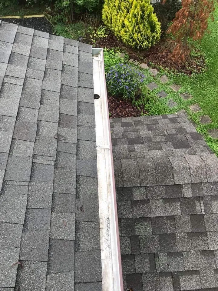 Custom landscape design in Annapolis, MD - Douglas Landscaping