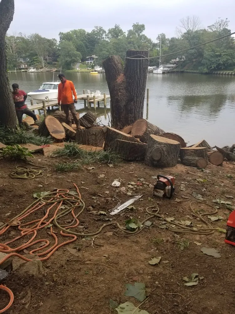 Local lawn care service in Annapolis, MD - Douglas Landscaping