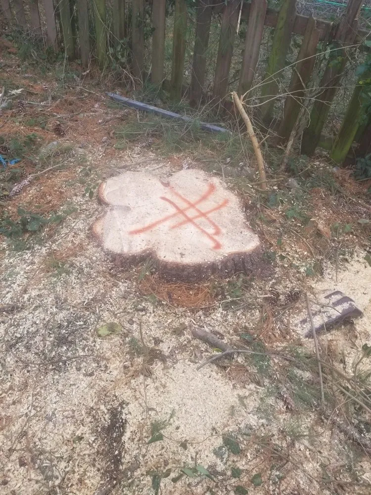 Expert garden landscaping in Annapolis, MD by Douglas Landscaping