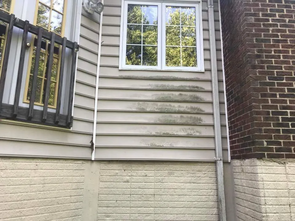 Affordable landscape installation for homes across Annapolis, MD - Douglas Landscaping