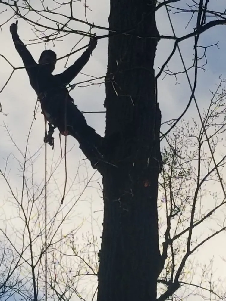 Custom landscape installation in Annapolis, MD by Douglas Landscaping