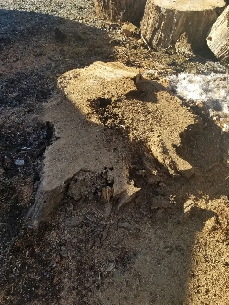 Local lawn care service for outdoor upgrades in Annapolis, MD by Douglas Landscaping