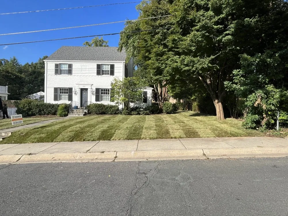 Top-rated yard cleanup service in Bladensburg, MD by Douglas Landscaping