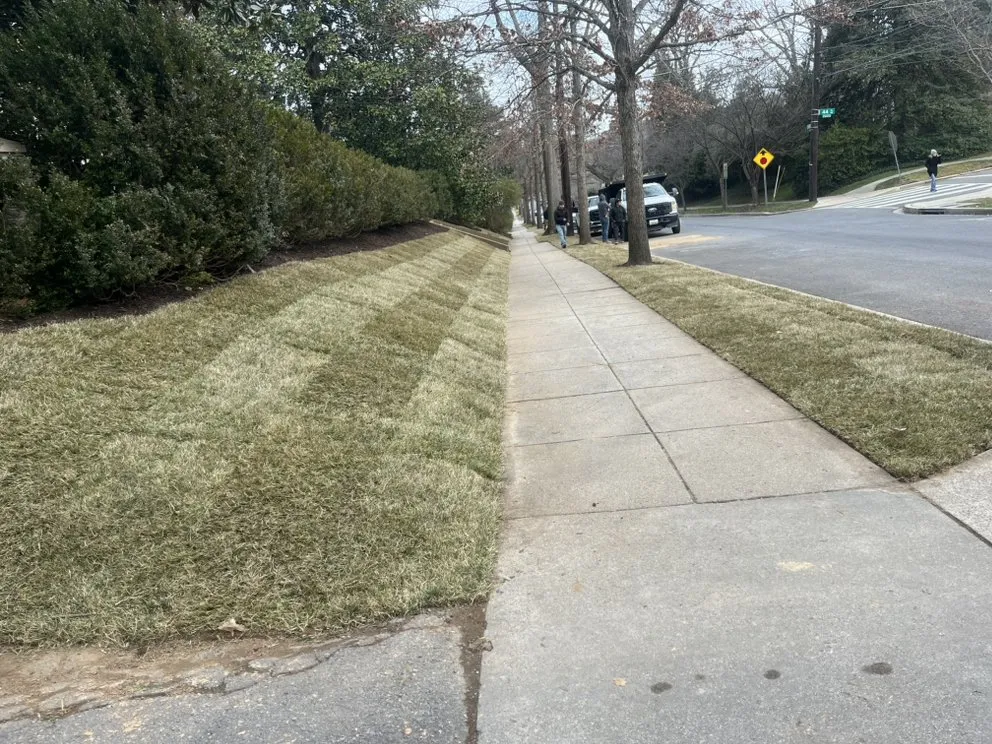 Expert residential landscaping in Bladensburg, MD - Douglas Landscaping