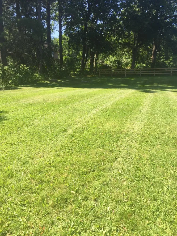 Local outdoor landscaping for residential properties across Palatine Bridge, NY - Douglas Landscaping