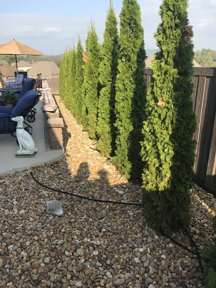 Reliable lawn care service experts serving Gallatin, TN - Douglas Lawn & Landscape