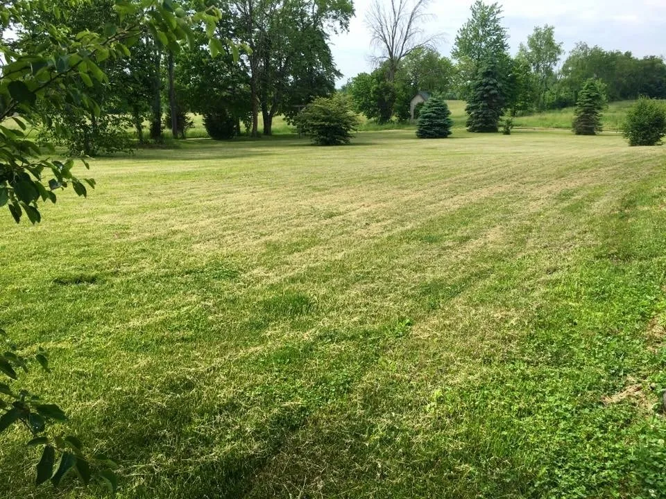 Affordable garden landscaping experts serving Grand Junction, MI - Douglas Lawn Care