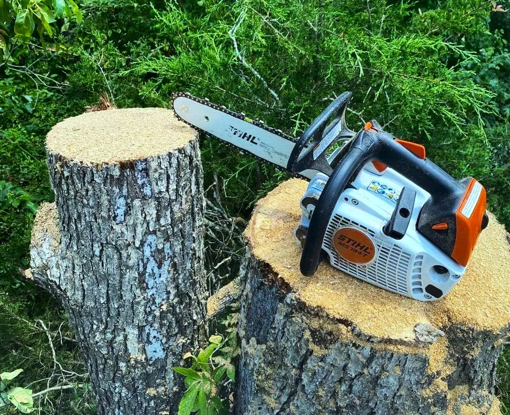 Expert outdoor landscaping experts serving Licking, MO - Douglas LLC