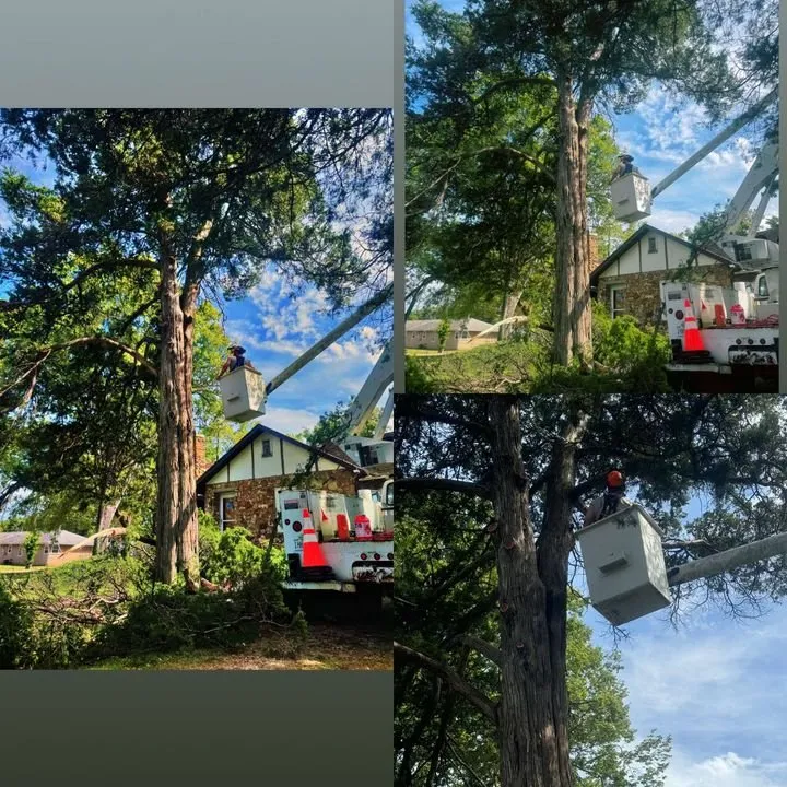 Reliable yard maintenance for year-round maintenance in Licking, MO by Douglas LLC