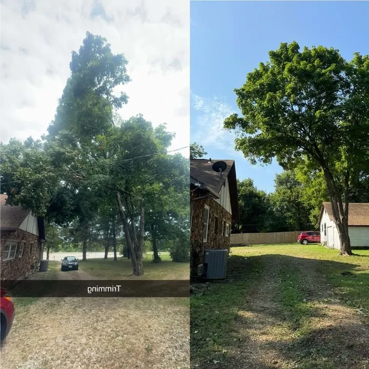 Trusted landscaping services experts serving Licking, MO - Douglas LLC