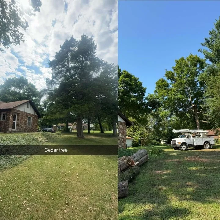 Expert landscape design in Licking, MO by Douglas LLC