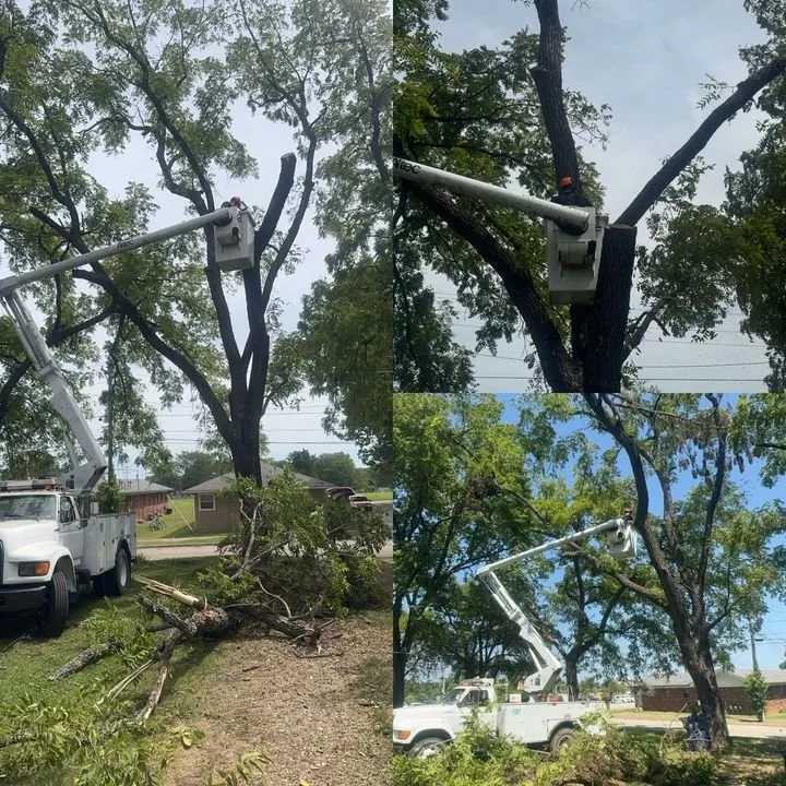 Trusted yard maintenance for residential properties in Licking, MO by Douglas LLC