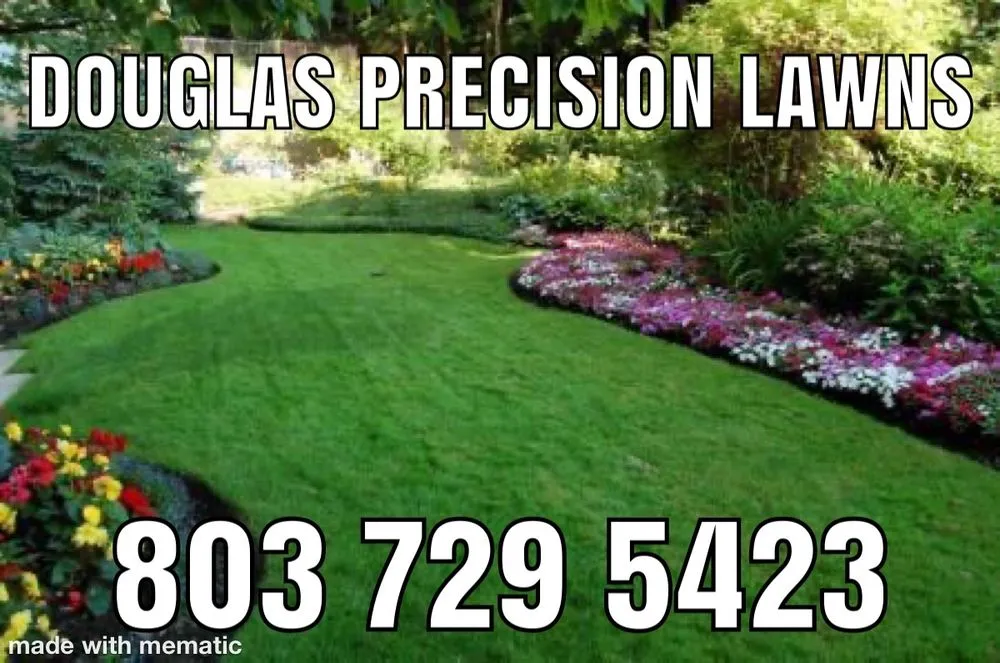Trusted landscaping services in Lugoff, SC - Douglas Precision Lawns