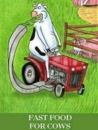 Affordable landscaping services for homes across Lugoff, SC - Douglas Precision Lawns