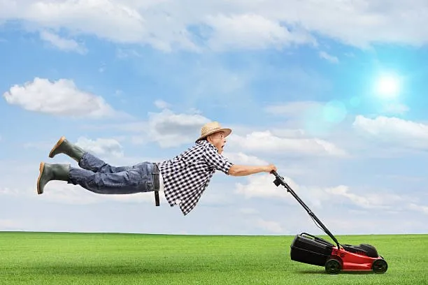 Custom landscape installation experts serving Lugoff, SC - Douglas Precision Lawns