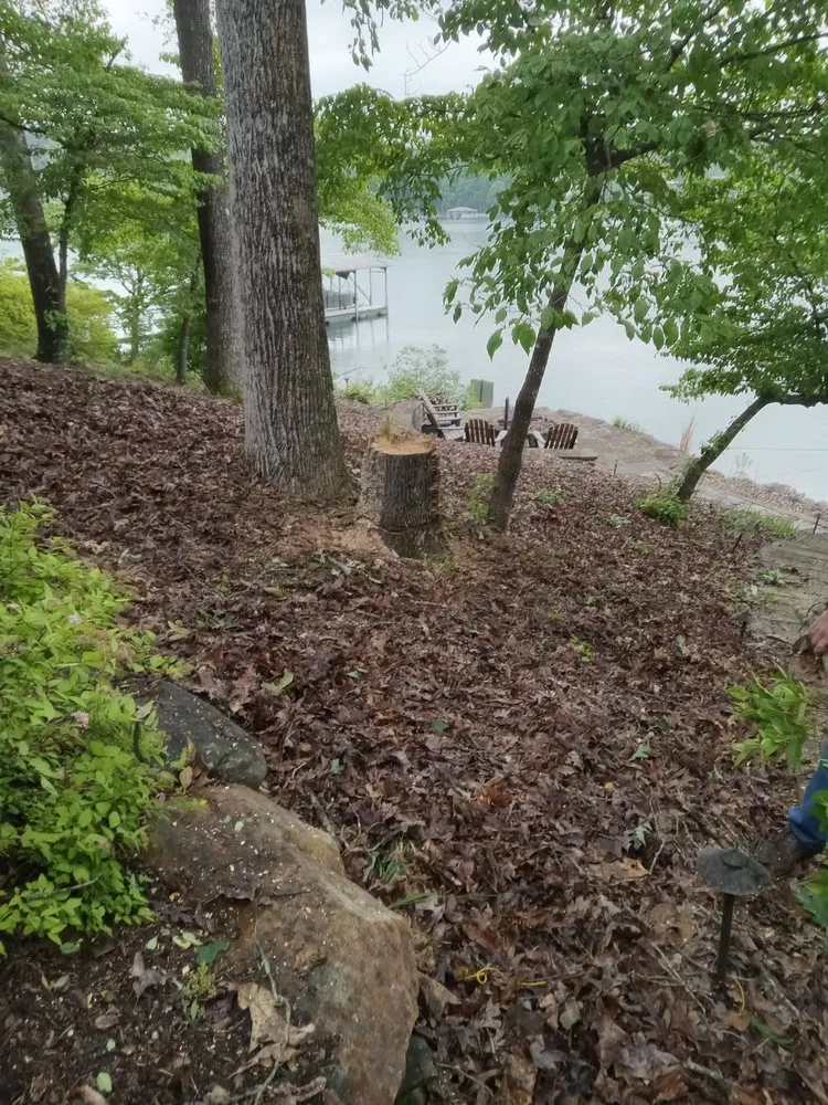 Top-rated garden landscaping with custom design across Seneca, SC - Douglas Tree