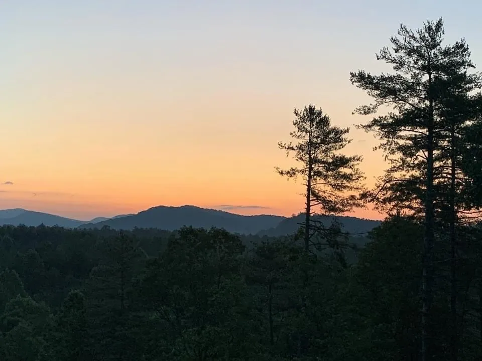 Top-rated landscape installation experts serving Seneca, SC - Douglas Tree