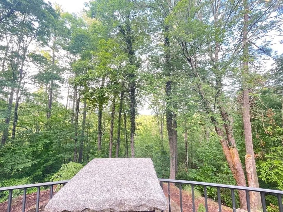 Local landscaping services for outdoor upgrades in Seneca, SC by Douglas Tree