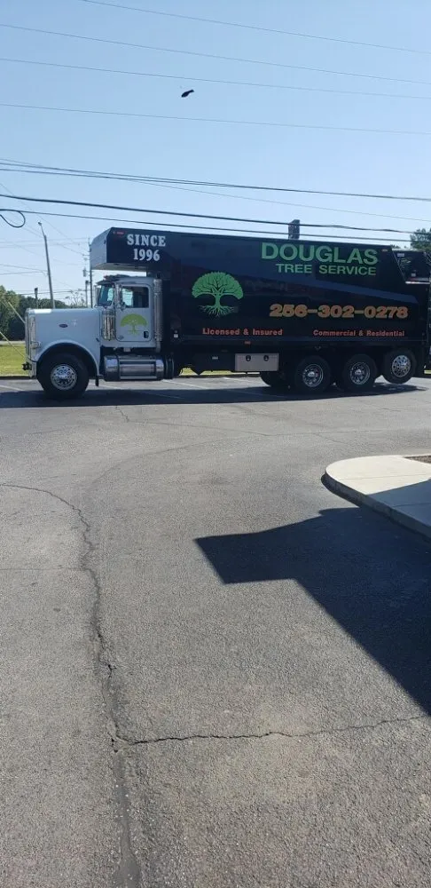 Affordable landscaping services experts serving Guntersville, AL - Douglas Tree Service