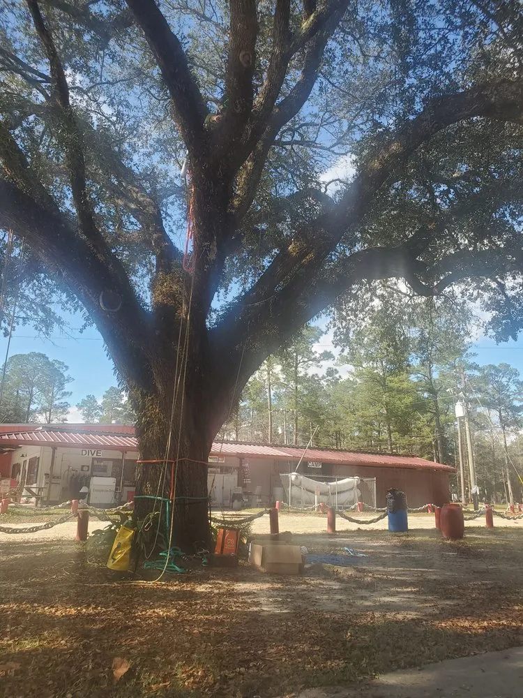 Local lawn care service in Guntersville, AL by Douglas Tree Service