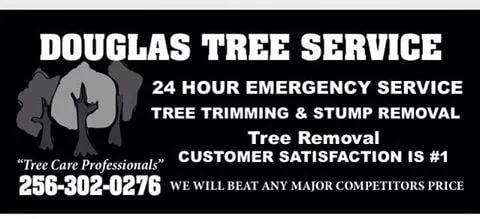 Custom landscape design in Guntersville, AL - Douglas Tree Service