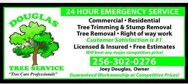 Top-rated landscaping services in Guntersville, AL by Douglas Tree Service