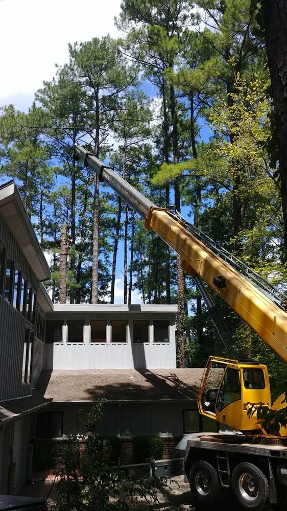 Reliable outdoor landscaping for residential properties in Guntersville, AL by Douglas Tree Service