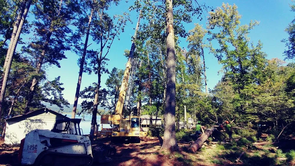 Custom outdoor landscaping for year-round maintenance in Guntersville, AL by Douglas Tree Service