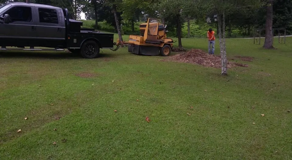 Expert lawn mowing service for beautiful yards across Guntersville, AL - Douglas Tree Service