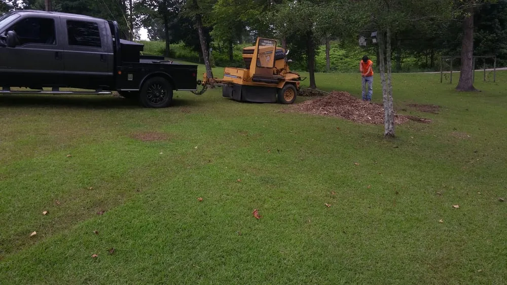 Local yard cleanup service experts serving Guntersville, AL - Douglas Tree Service