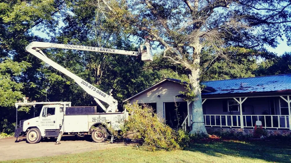 Trusted landscape installation for homes in Guntersville, AL by Douglas Tree Service
