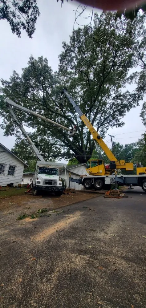 Professional landscape installation in Guntersville, AL by Douglas Tree Service
