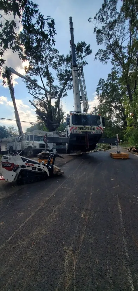 Expert landscaping services near you across Guntersville, AL - Douglas Tree Service