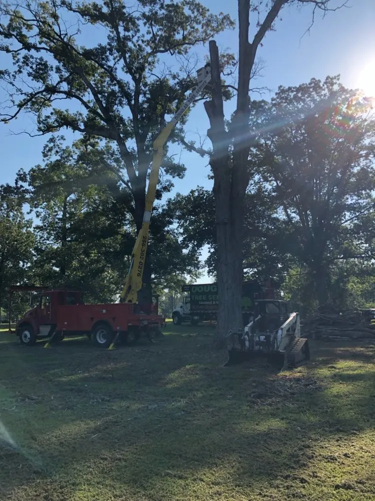 Top-rated landscape design for year-round maintenance across Guntersville, AL - Douglas Tree Service