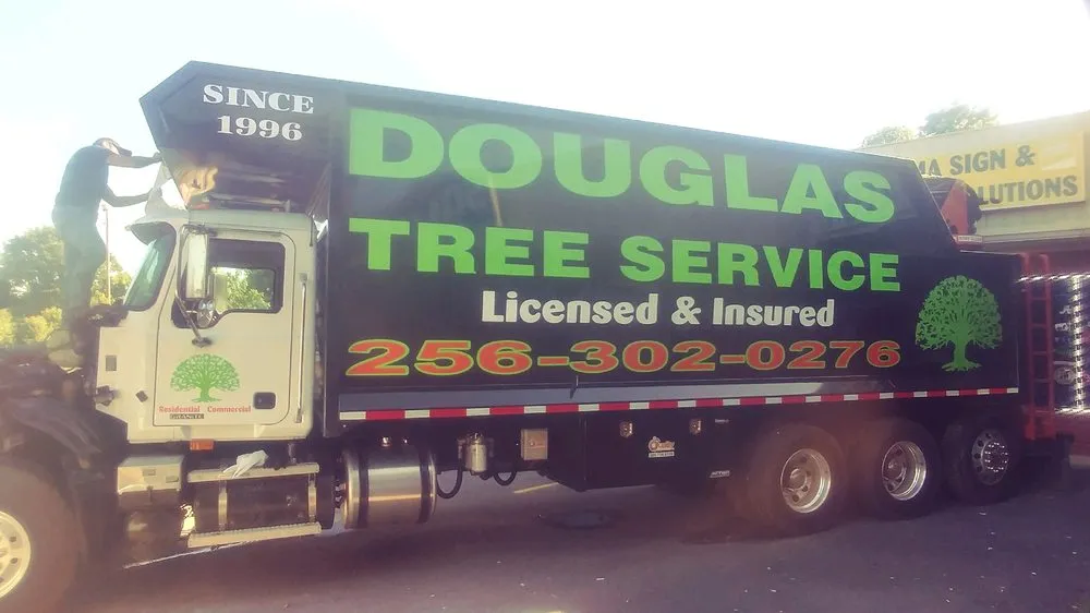 Professional yard cleanup service in Guntersville, AL by Douglas Tree Service