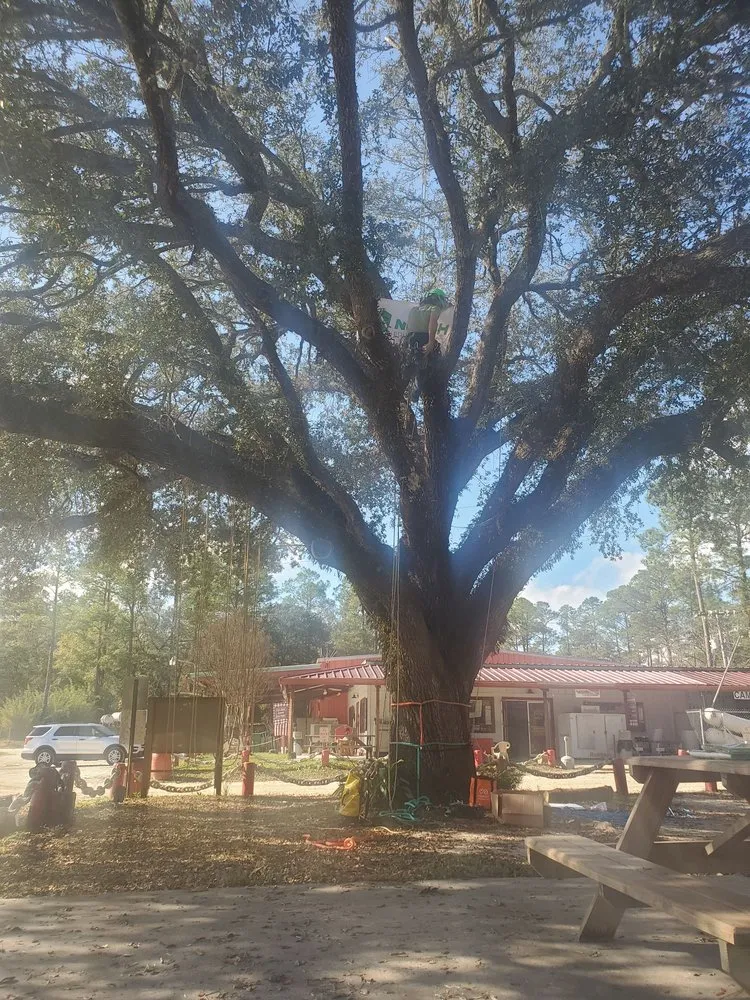 Expert yard cleanup service for beautiful yards in Guntersville, AL by Douglas Tree Service