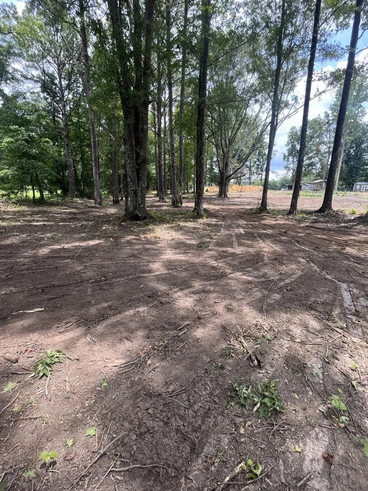 Custom landscaping services in Thorsby, AL - Douglass Land Development