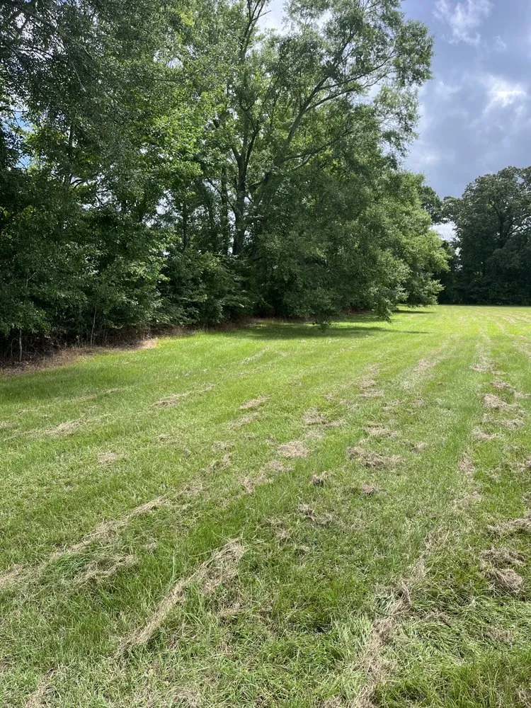 Reliable yard cleanup service in Thorsby, AL - Douglass Land Development