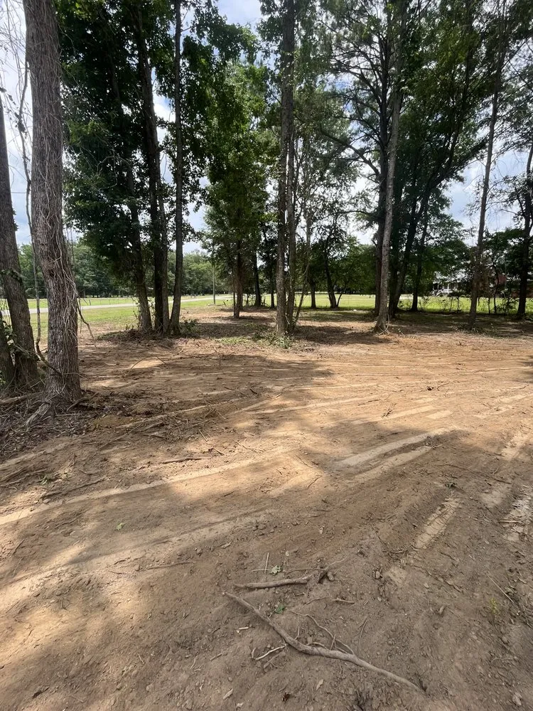 Expert lawn care service in Thorsby, AL - Douglass Land Development