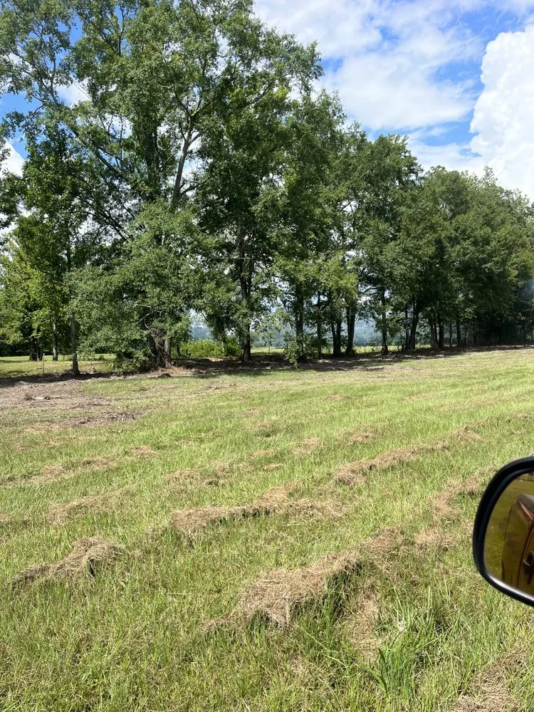 Affordable landscaping services in Thorsby, AL by Douglass Land Development