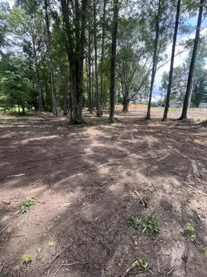 Douglass Land Development