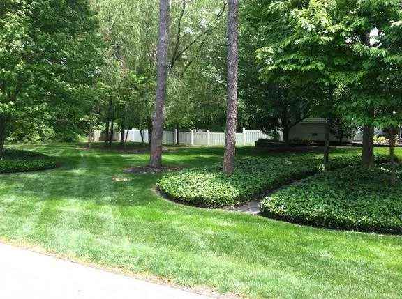 Expert yard maintenance for beautiful yards in Cape May, NJ by Douglass Landscaping Services