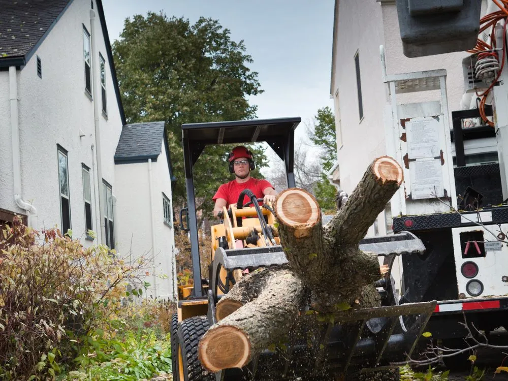 Expert landscape design in Douglasville, GA - Douglasville Land Clearing And Grading