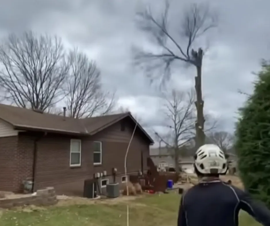 Trusted yard maintenance with custom design across Douglasville, GA - Douglasville Land Clearing And Grading