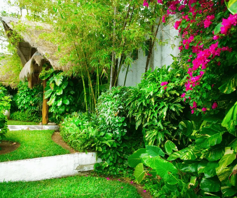 Professional landscape design in Douglasville, GA by Douglasville Land Clearing And Grading