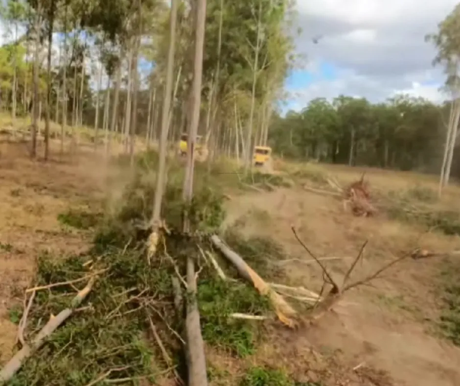 Reliable yard cleanup service in Douglasville, GA by Douglasville Land Clearing And Grading