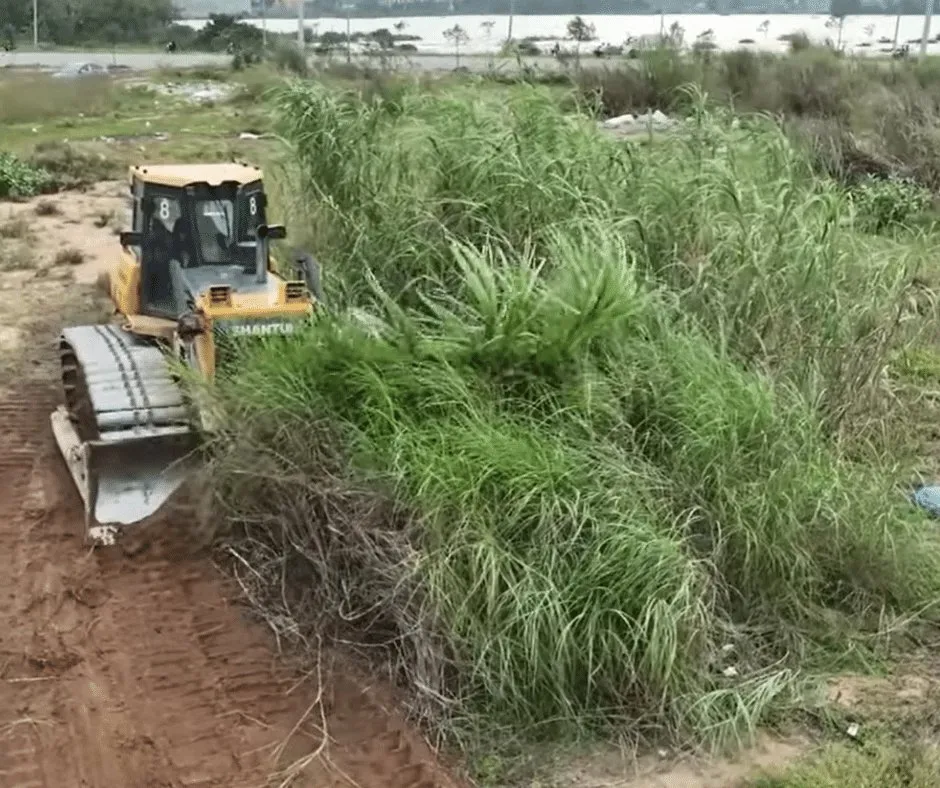 Reliable landscape installation in Douglasville, GA - Douglasville Land Clearing And Grading