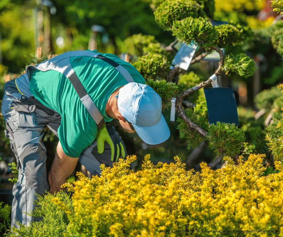 Top-rated yard cleanup service in Douglasville, GA by Douglasville Landscape Design