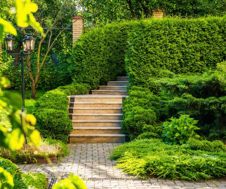 Expert outdoor landscaping experts serving Douglasville, GA - Douglasville Landscape Design