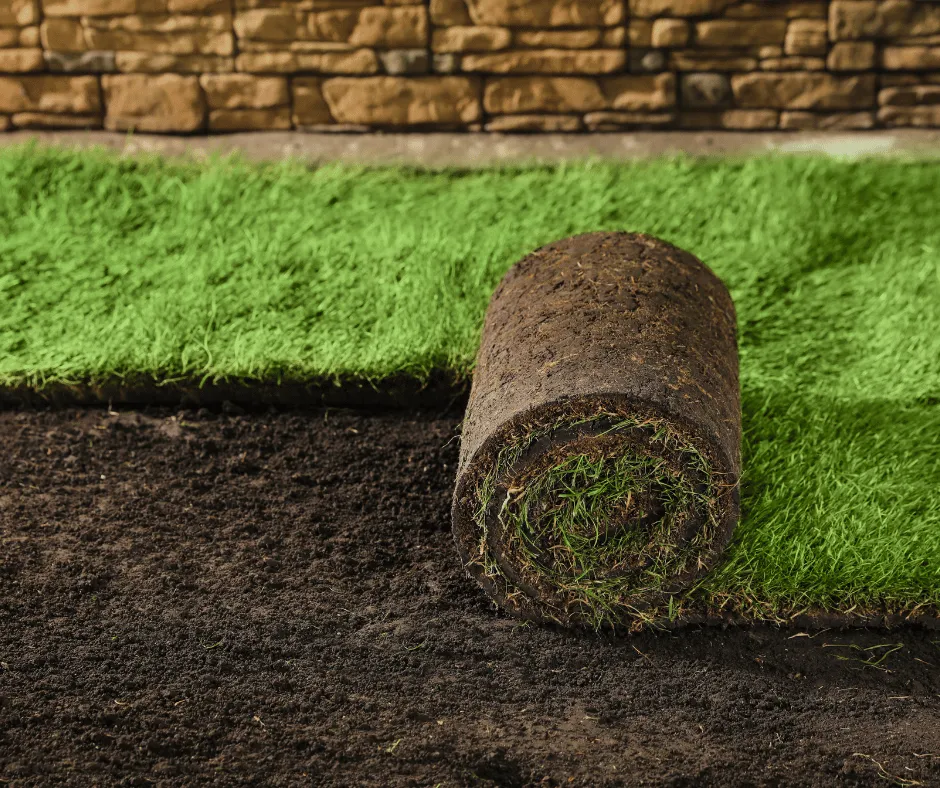 Trusted yard maintenance in Douglasville, GA - Douglasville Landscape Design